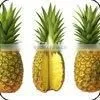 Fresh Pineapple thumbnail-1