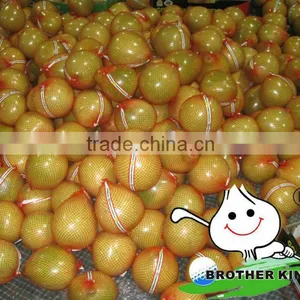 Golden Pomelo in China Market High Quality Pomelo thumbnail-1