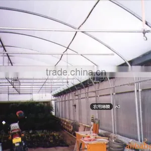High Quality Clear Plastic Film for Greenhouse,agriculture Polyethylene Film,agriculture Film thumbnail-4