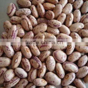GMO Canned Light Red Kidney Beans,Speckled Kidney Beans thumbnail-3