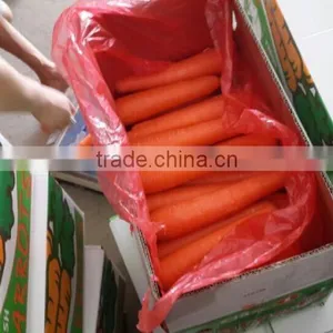 2014 Best Price Fresh Frozen Carrots Slice thumbnail-2