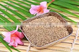 Bunium Persicum (cumin) thumbnail-6
