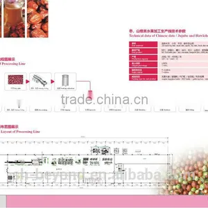 Complete Dates Processing Line thumbnail-1
