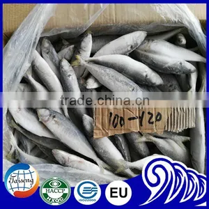 Top Quality Iqf Round Scad Fish Products For Marketing thumbnail-1