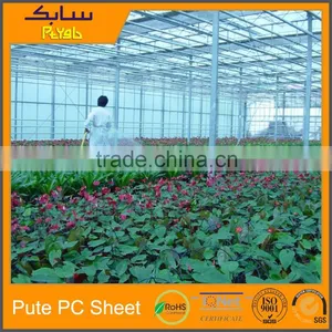 Project Agriculture Green House Roofing Panels Greenhouse Twin-wall Plastic thumbnail-5