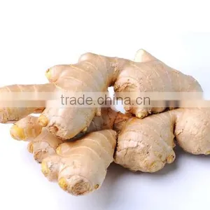 China Air Dry Ginger Professional Supplier for Holland and Russia thumbnail-1