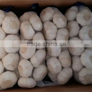 Normal White Fresh Garlic With Carton Mesh Bag thumbnail-3