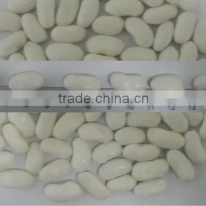 White Kideny Beans ( Sizes 180-200 / 200-240/ 240-260) thumbnail-1