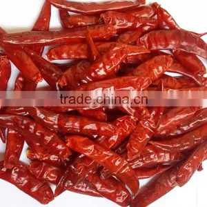 Exporters of Sanam Chilli/S 4 Chilli/S 334 Chilli thumbnail-1