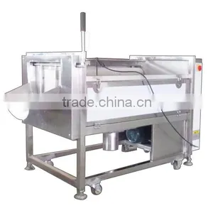 MSTP-500 High Efficiency Automatic Fresh Ginger Washing and Peeling Machine thumbnail-5