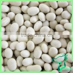 All Size Supply Japanese White Kidney Beans For Sale Wholesale Price thumbnail-1