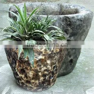 Resin Plant RSPTG-20 thumbnail-1