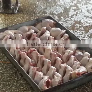 Chicken Broiler Slaughtering Line Line Dressing Equipments thumbnail-4
