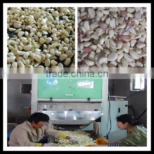 Belt Type CCD Color Sorter for Fresh Garlic or Beans or Seeds 0086 371 65866393 thumbnail-1