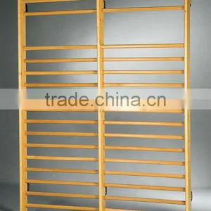 Gymnastics Wall Bars thumbnail-4