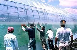 Commercial Greenhouses thumbnail-5