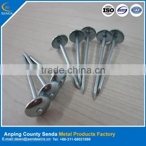 Galvanized Roofing Nails/ Iron Wire Nails Factory From Anping thumbnail-1