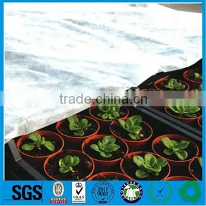 Nonwoven Fabric for Agriculture thumbnail-2