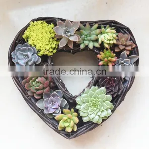 Handmade Wicker Basket Heart-shaped Retro Pastoral Desktop Simulation Flower Planting Pot Plants Meat Storage Basket thumbnail-5