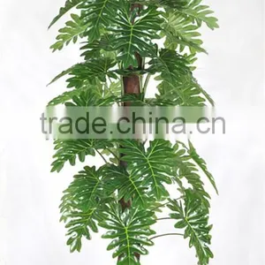 CHY030933 Indoor Artificial Bonsai Plant /plastic Fake Plant/ Artificial Alocasia Plant thumbnail-6