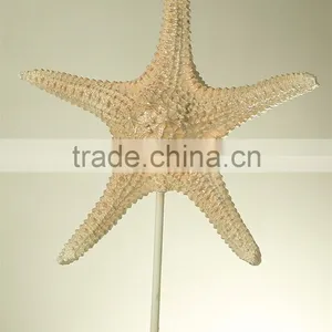 Custom Home Decor Art Artificial Starfish Statue thumbnail-6