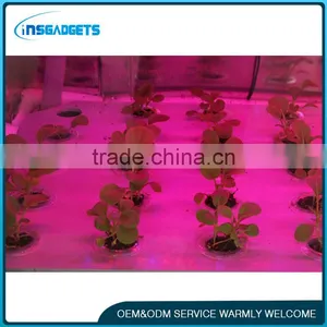Plant Growth LED Lights thumbnail-1