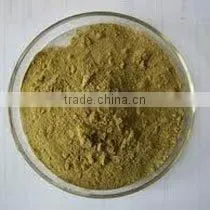 Andrographis Extract thumbnail-4