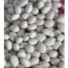 WHITE KIDNEY BEANS thumbnail-2