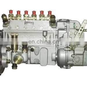 6R1ZLD310100-A/10402376054/10 402 376 054 Diesel Fuel Injection Pump for WeiChaiHuaFeng R6105ZLD Engine thumbnail-1