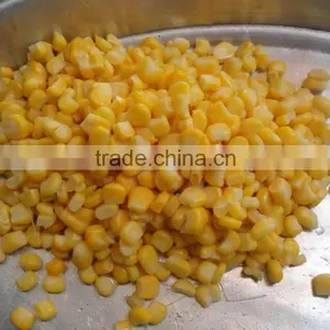 Frozen Yellow Sweet Corn Seed From Vietnam/ Corn for Eating thumbnail-2