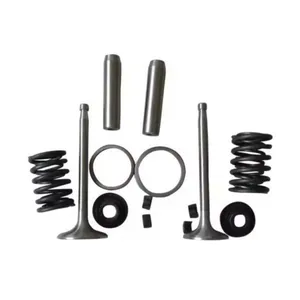 China Factory Supply S195, S1100, S1105, S1110, S1115, S1125 Diesel Engine Valve Kit thumbnail-1