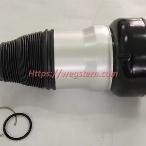 2223204713 2223204813 Hot Selling Front Air Spring for Mercedes Benz S Calss W222 V222 X222 C217 A217 Front LH &RH 2013-2020 thumbnail-1