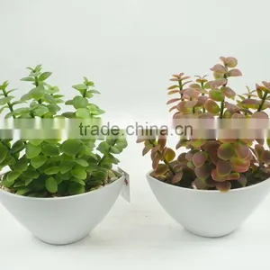 Artificial Potted Plant Artificial Plant Artificial Succulent Wholesale thumbnail-3