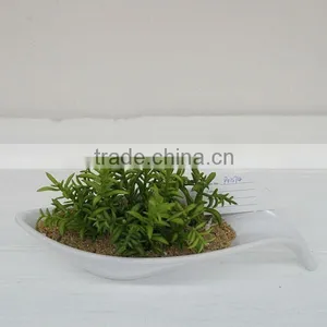 Natural Looking Potted Artificial Grass/succulent Plants thumbnail-1