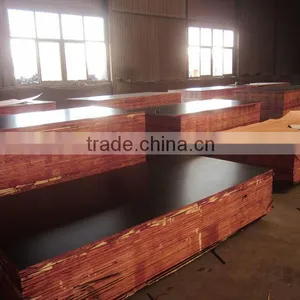 Czech Market Film Faced Plywood thumbnail-2