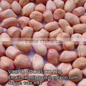 GROUNDNUTS/PEANUTS VIETNAM thumbnail-2