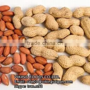 RAW PEANUTS KERNEL_HIGH QUALITY thumbnail-1