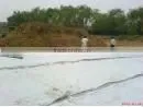 Geomembrane Film thumbnail-1