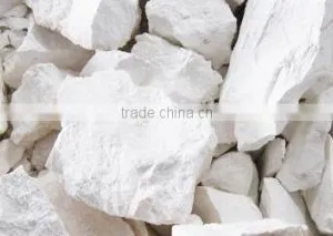 Best Price Lime Lump/Powder in Vietnam thumbnail-1