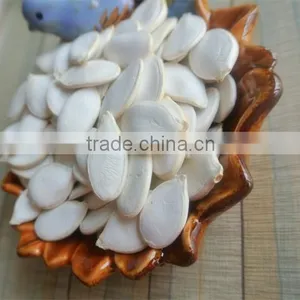Snow White Pumpkin Seeds Directly From Our Own Factory thumbnail-2