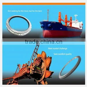 BQ Tadano Slewing Ring Bearing, Slewing Bearing,turnable Bearing,slewing Drive thumbnail-1