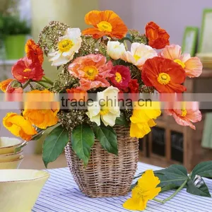 Hot Sale Cheap Wicker Basket With Fabric Wicker Basket Home Storage thumbnail-1