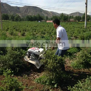 196cc 6.5hp Rotor Cultivator Plow Horticulture Tracteur thumbnail-2
