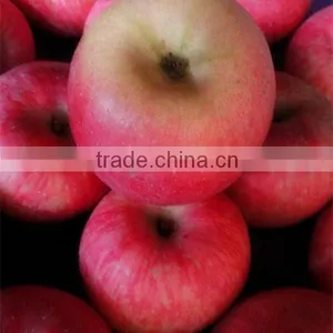 Fuji Apples Fresh Fuji Apple thumbnail-4