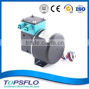 TF30B-H Diaphragm Liquid Corrosion Resistance Brushless Pump thumbnail-1