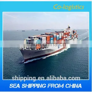 China Freight Forwarders/ocean Freight/sea Freight----Apple thumbnail-1
