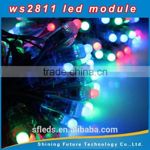 12V 12mm WS2811 Intelligent RGB Pixels IP68 Waterproof LED Light String thumbnail-2
