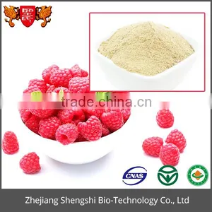 High Quality Natural Plant Berry Extract Bilberry Extract Powder thumbnail-2