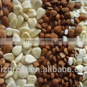 Longwang Bulk Sweet Apricot Kernels for Sales thumbnail-5