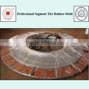 Professoional Segment Tire Rubber Mold thumbnail-5